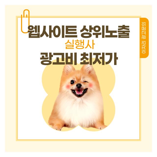 미사강아지분양 상위노출